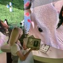 츄렌즈 플래그십 스토어 연남 이미지