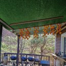 별빛촌 | 공기부터 밤하늘까지 좋았던 강원도펜션 별빛촌 후기