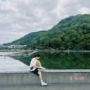 도미정