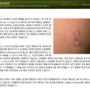 닥터스킨