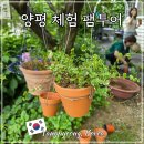 양평군농업기술센터 본소 | 경기도 양평 가볼만한 곳 농촌 식문화 체험 가족 여행 팸투어 후기