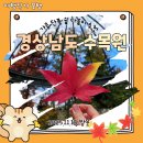 신중동역칙칙폭폭작은도서관 | 진주 가볼 만한 곳 추천 ㅣ 경상남도 수목원 단풍 방문 후기