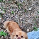 태봉리 마을회관 이미지