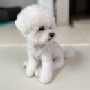 동그리멍 이미지