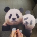 ㈜바오 | &lt;안녕, 할부지&gt; 영화 후기!! 푸바오 가지마ㅠㅠ❤