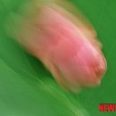 자연으로부터-사유 뉴시스