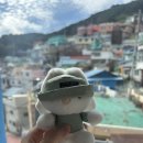 푸른집 | 부산 감천 문화마을 [카페 계단 위 푸른 집] 방문 후기