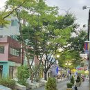 팔팔곰장어 이미지