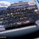 내검농장 이미지