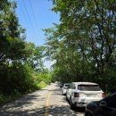 환산로 | 충북 옥천 자연 명소 추소정 전망대에서 바라본 부소담악의 모습은요