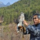 매사냥체험홍보관 이미지