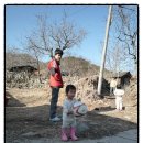 종아농장 이미지