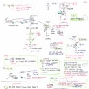 보건 및 생물 약학 합격생 생물 필기노트(백분위:99.3%)-피트생물 이미지