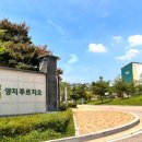 양지화장품 이미지