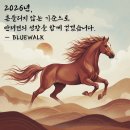 블루워크 BLUE WALK | 위례애견유치원 블루워크 단계별 산책교육 방법 공개