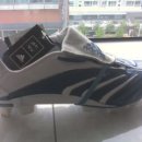 엡솔루트 이미지