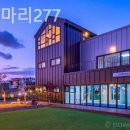 고래한마리277