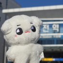 누나 엔시티에요? 점심엔 이태용 저녁엔 김도영 보는 삶 (2024 지상군문화축제 / 2024 굿밤콘서트)