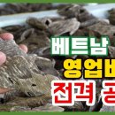 베트남 침향 가공 전격 공개~!!! 이미지