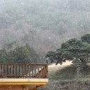 야옹 이미지