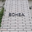 보헤아 | 팔공산 아래의 예쁜 홍차 카페! 대구 카페 '보헤아(BOHEA)' 방문후기