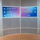 스카이 밸리 | 묵호 여행 필수코스 도째비골 스카이밸리 전망대 후기