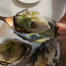 광어2마리스 | [송파나루 맛집 추천] 스텔라마리스 굴이 있는 오이스터 바 유화 초여름 코스 후기
