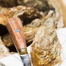 굴이야기 이미지