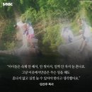 칠안경로당 Daum카페