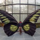 이화원 입구 이미지