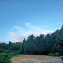 울진소나무 | 울진 응봉산 최단코스 들머리 덕구관광호텔 100대명산 등산지도 코스 주차장 정보 다녀온 후기