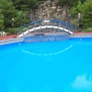 베리온리조트 수영장 이미지