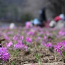 거열빌라 이미지