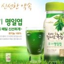 대상웰라이프녹즙 네이버블로그