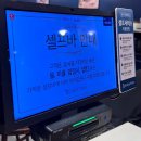 [여수 양식집 추천] ‘롤링파스타’