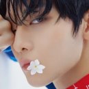 이쁘자나 이미지