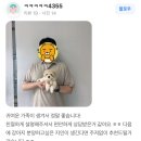 1719 | (1719) 의정부 말티푸 분양 후기 (feat. 멍냥스타)