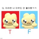 클라이밍강릉