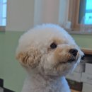 웅상여자중학교 이미지