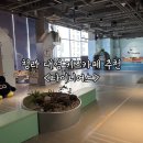 인천 서구 청라 대형 키즈카페 추천 타이니어스 내돈내산 후기