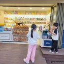 양대농장 | 대구 이월드 아이와 가볼만한 곳 추천(초등 탈만한 놀이기구)