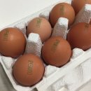 해동유정란농장 이미지