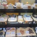 독구제과 이미지