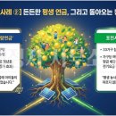 마치미마을협동조합
