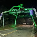 등억알프스야영장 이미지