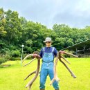 대지사슴농장 이미지