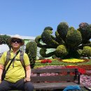 순천만여행 이미지