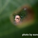 생태랑 놀아볼까 이미지