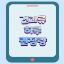 견과 하루 이미지