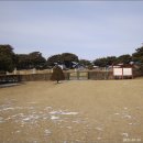 영신군이이묘 이미지